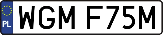 WGMF75M