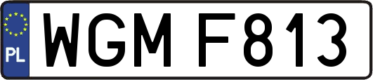 WGMF813