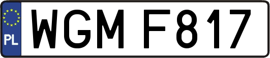 WGMF817