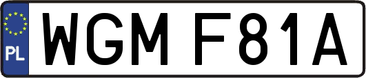 WGMF81A