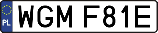 WGMF81E