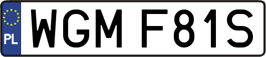 WGMF81S