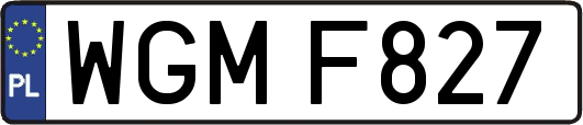WGMF827