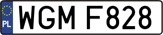 WGMF828