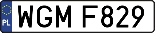 WGMF829
