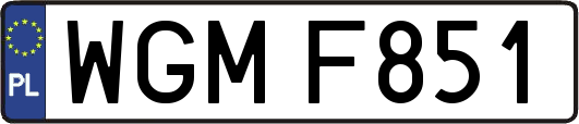 WGMF851