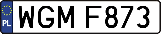 WGMF873