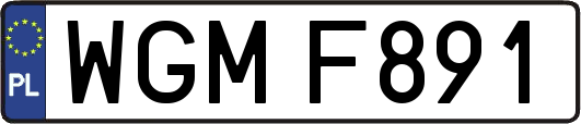 WGMF891