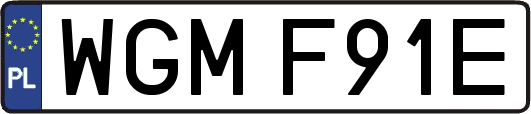 WGMF91E