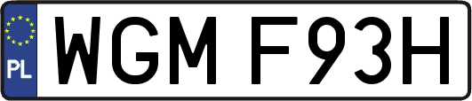 WGMF93H