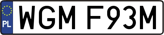 WGMF93M