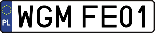 WGMFE01