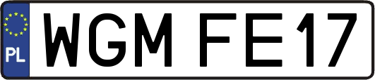 WGMFE17
