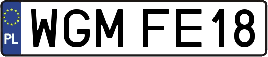 WGMFE18