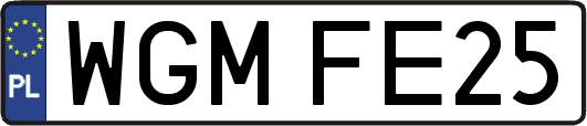 WGMFE25