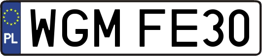 WGMFE30