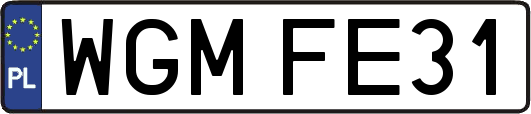 WGMFE31