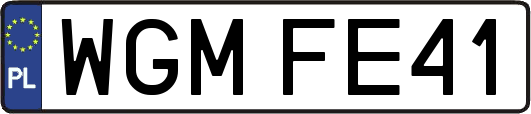 WGMFE41