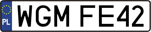 WGMFE42