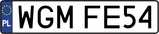 WGMFE54