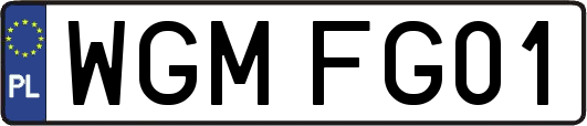 WGMFG01