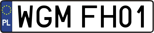 WGMFH01