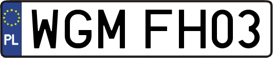 WGMFH03