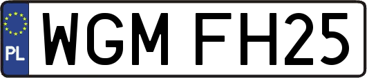 WGMFH25
