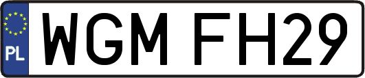 WGMFH29