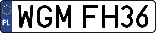 WGMFH36