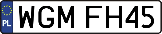 WGMFH45