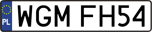 WGMFH54