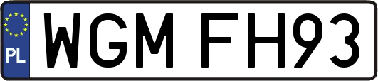 WGMFH93