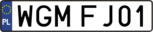 WGMFJ01