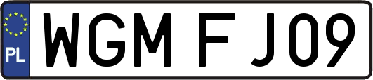 WGMFJ09