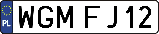 WGMFJ12