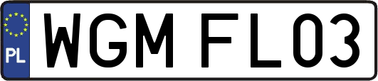 WGMFL03