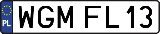 WGMFL13