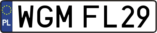 WGMFL29