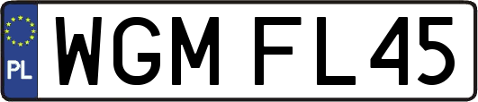WGMFL45
