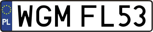 WGMFL53