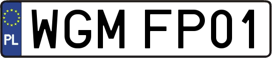 WGMFP01