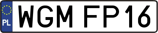 WGMFP16