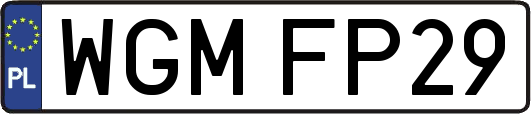 WGMFP29