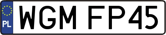 WGMFP45