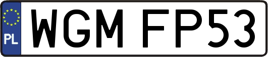 WGMFP53
