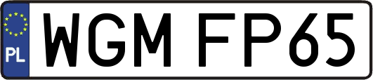 WGMFP65