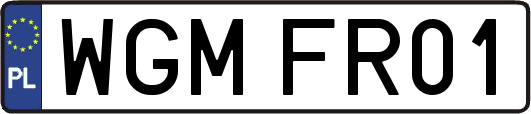 WGMFR01