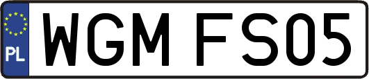 WGMFS05