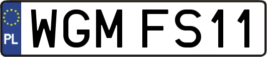 WGMFS11